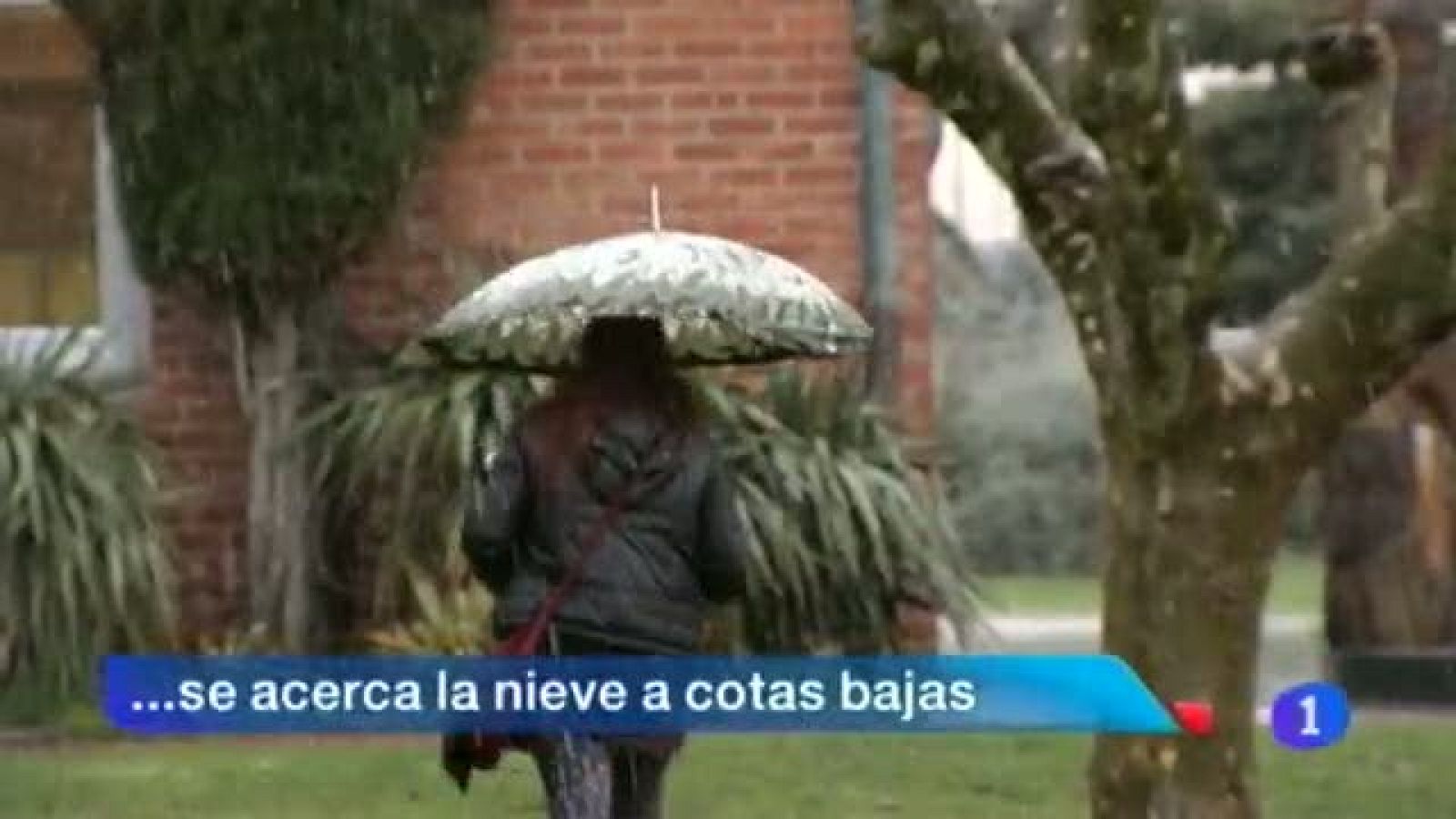 Telenavarra en 2' - 30/01/2014 | Ver