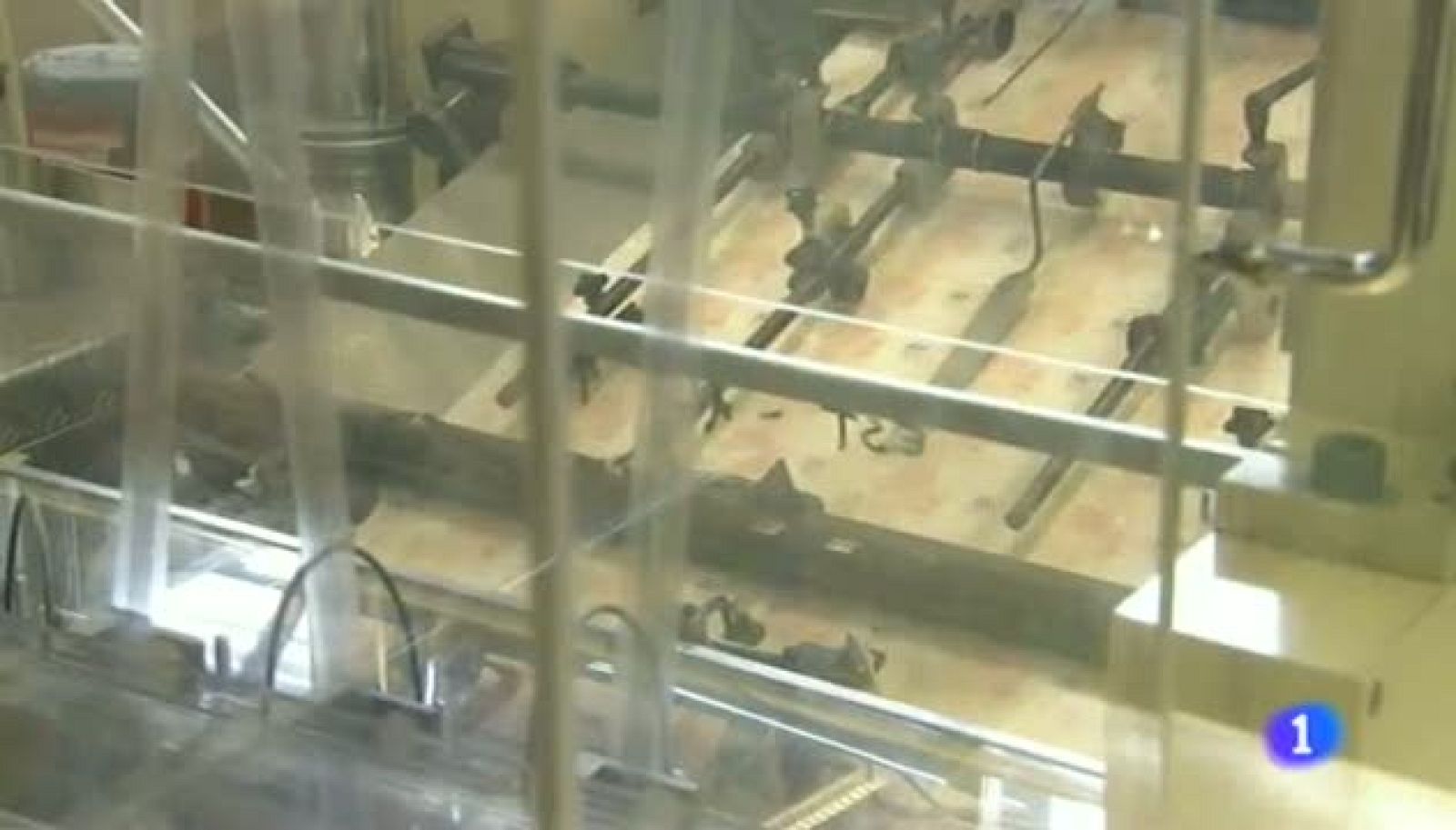 Noticias Aragón - 30/01/14 | Ver