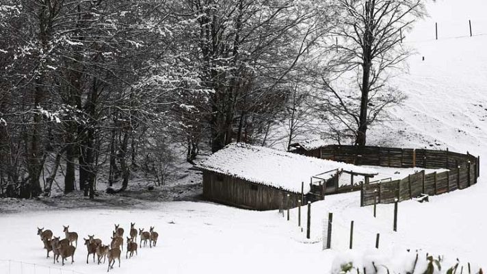El tiempo - Nevadas en el Sistema Central