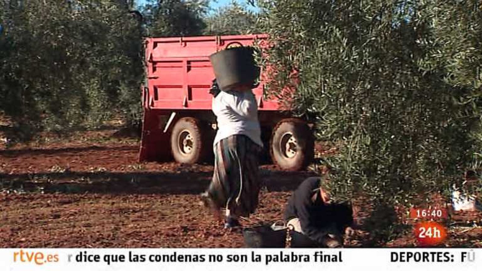 España en 24 horas - 31/01/14 - Ver ahora