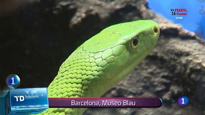 Lo que hay que ver ... - Lo que hay que ver - 01/02/14