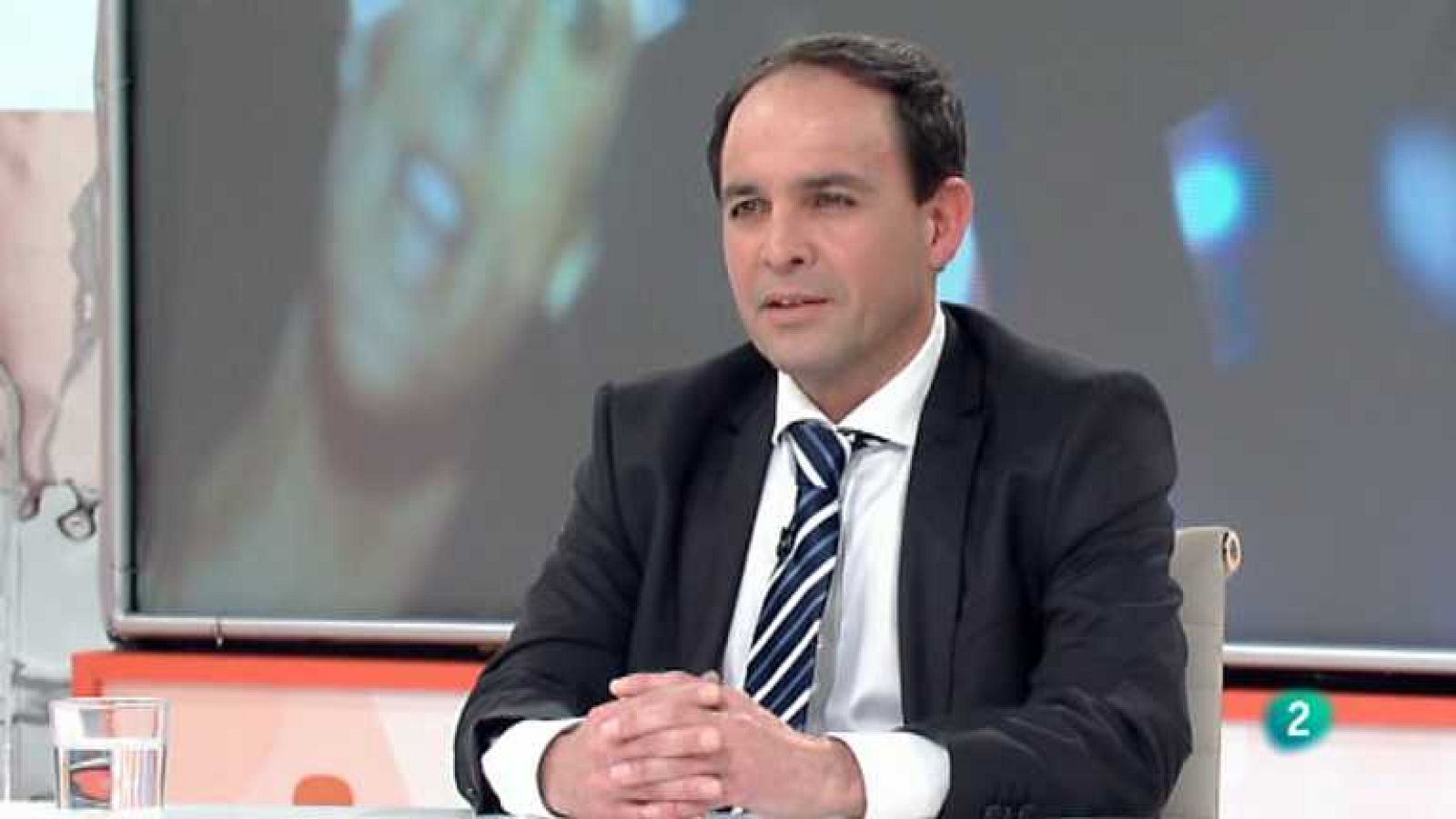 RTVE responde - 01/02/14 - ver ahora