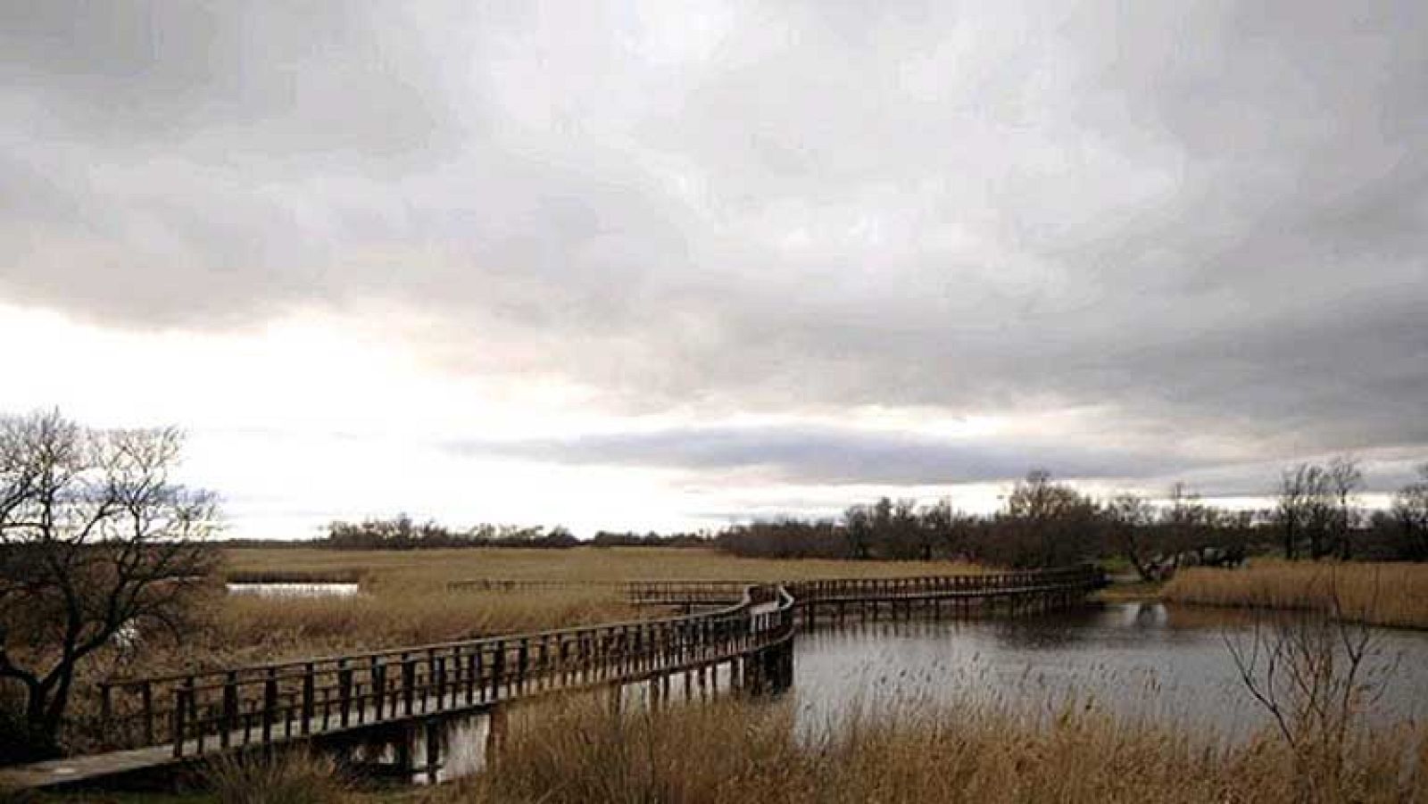 Día Internacional de los Humedales