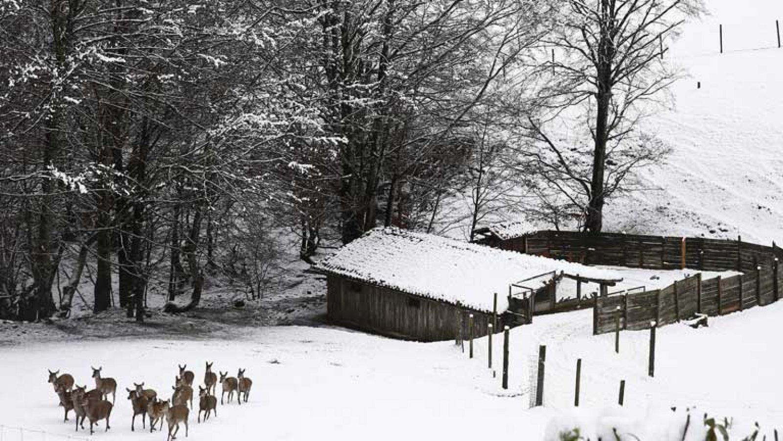 Viento fuerte en zonas de Galicia y de la Cordillera Cantábrica