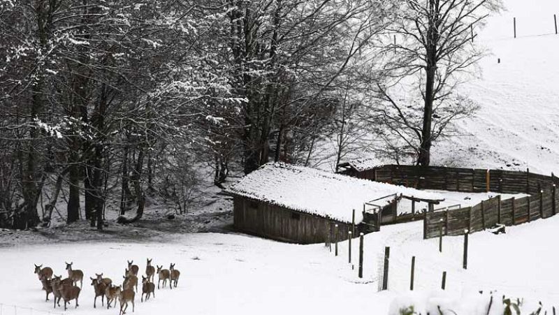 Viento fuerte en zonas de Galicia y de la Cordillera Cantábrica