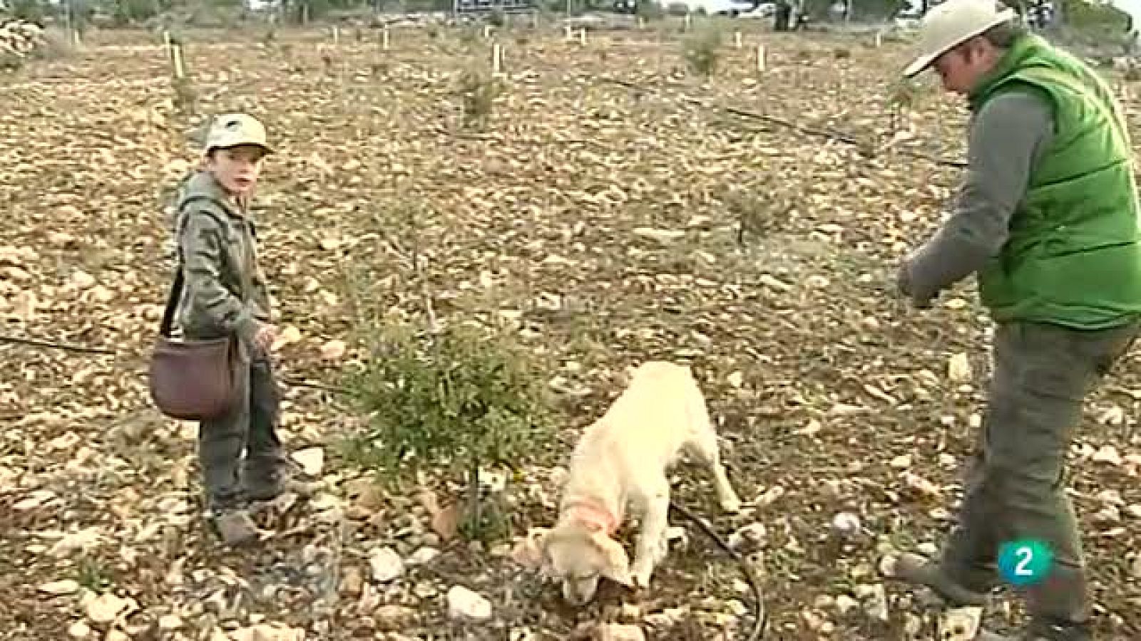 Agrosfera - Con mucho gusto - Trufas + Madrid Fusión