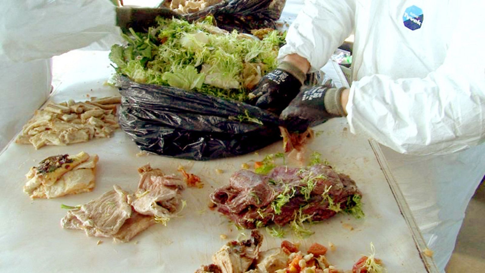 Comando Actualidad - Avance - La comida no se tira