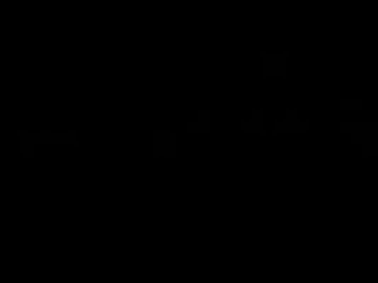  - 'Fe'