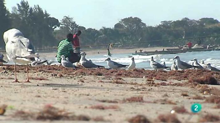 España en comunidad - España en Comunidad - 08/02/14