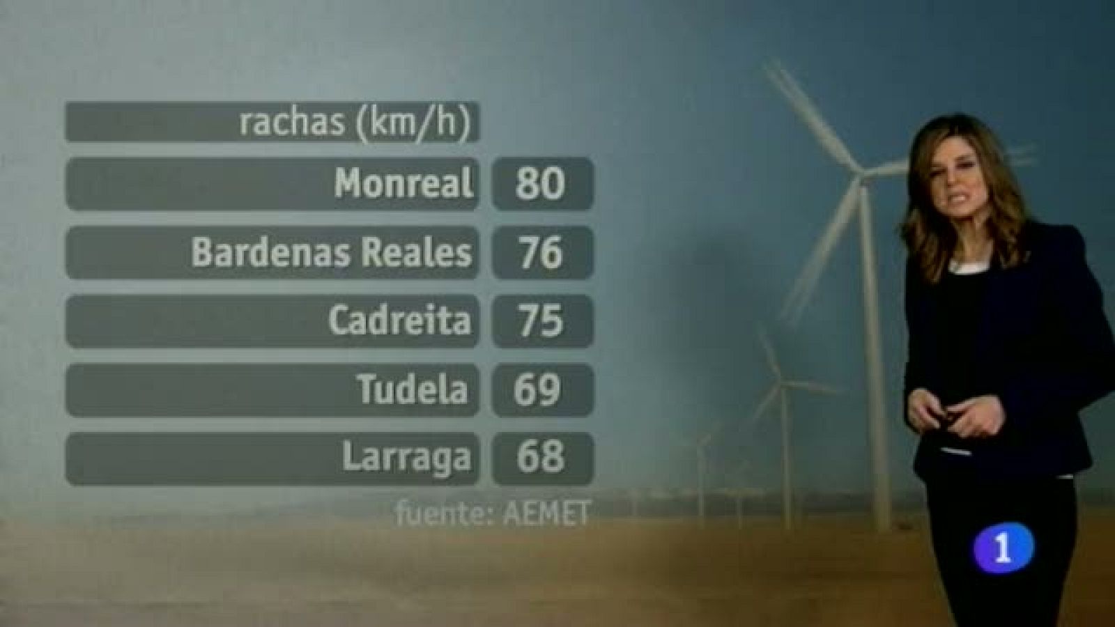 El Tiempo en la Comunidad de Navarra - 10/02/2014 | Ver