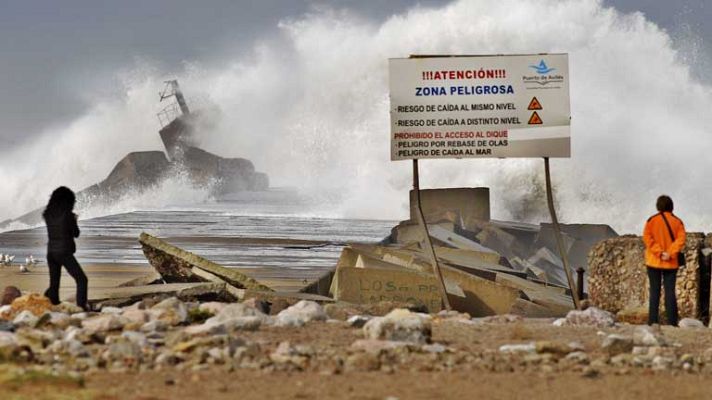 Telediario 1 - Repoblar el litoral con vegetación