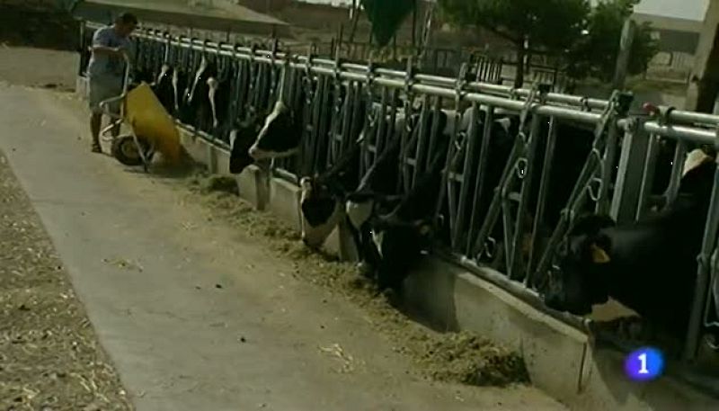 Noticias Aragón 10/02/14 | Ver