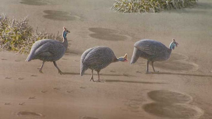 Informativo de Madrid - Informativo de Madrid 2 - 10/02/14