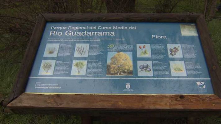 Informativo de Madrid - Informativo de Madrid - 12/02/14