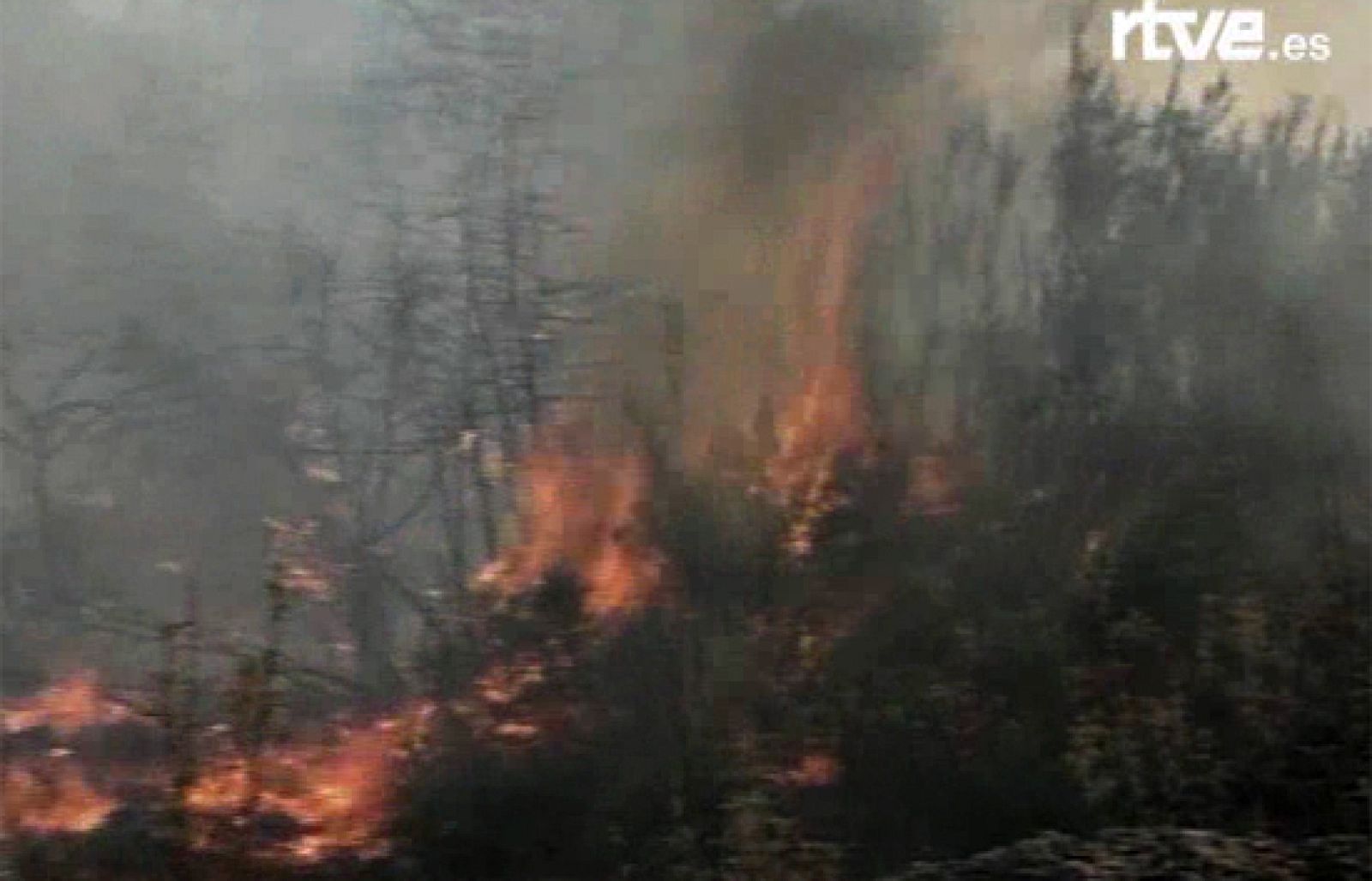 Incendio forestal en Turquía