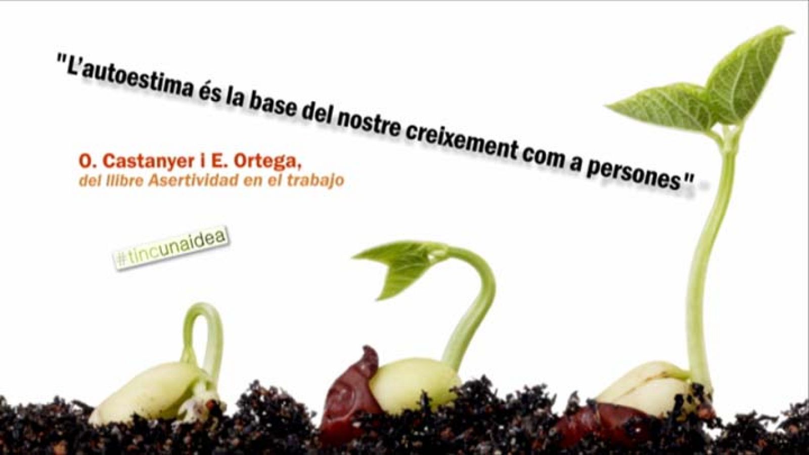 Tinc una idea - TUI - O. Castanyer i E. Ortega