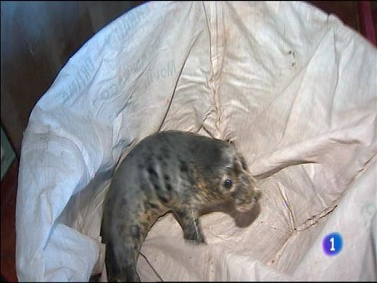 Panorama Regional - Panorama Regional 2 - 13/02/14