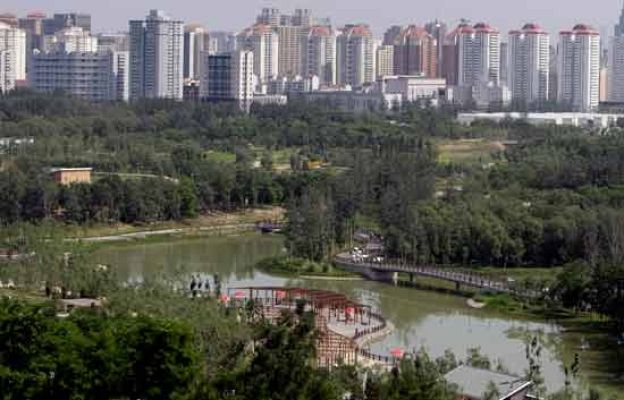  - China crea un bosque de la nada