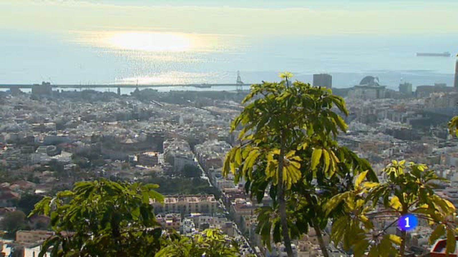 El tiempo en Canarias - 14/02/14 | Ver