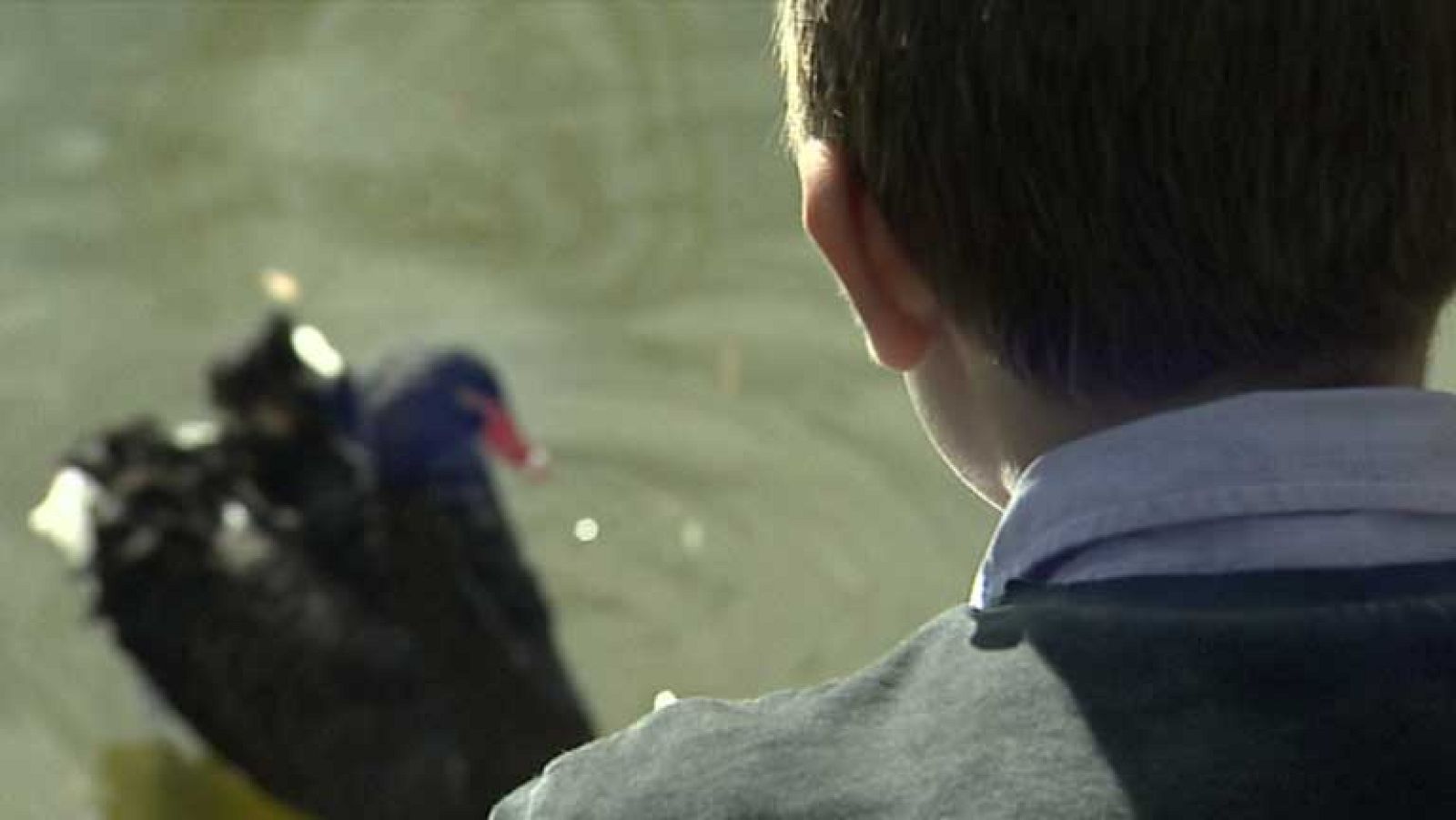 La alimentación mejora las condiciones de vida de los enfermos con trastornos del comportamiento