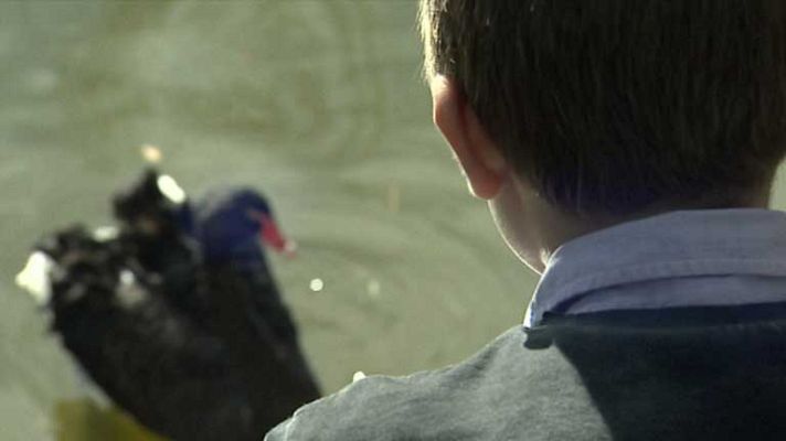 Telediario 1 - Trastornos del comportamiento