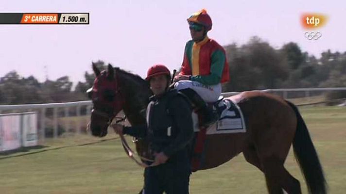 Turf - Turf - 17/02/14