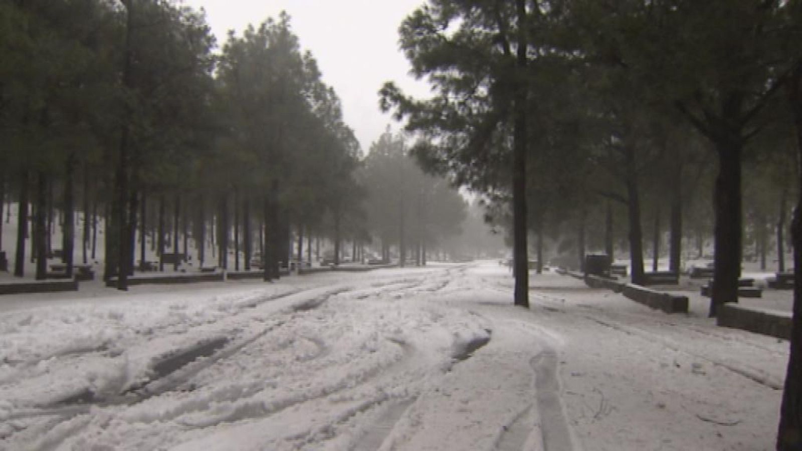 Canarias en 2' - 17/02/14 | Ver