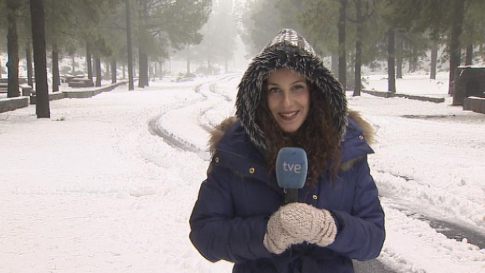 Telecanarias - 17/02/14 | Ver