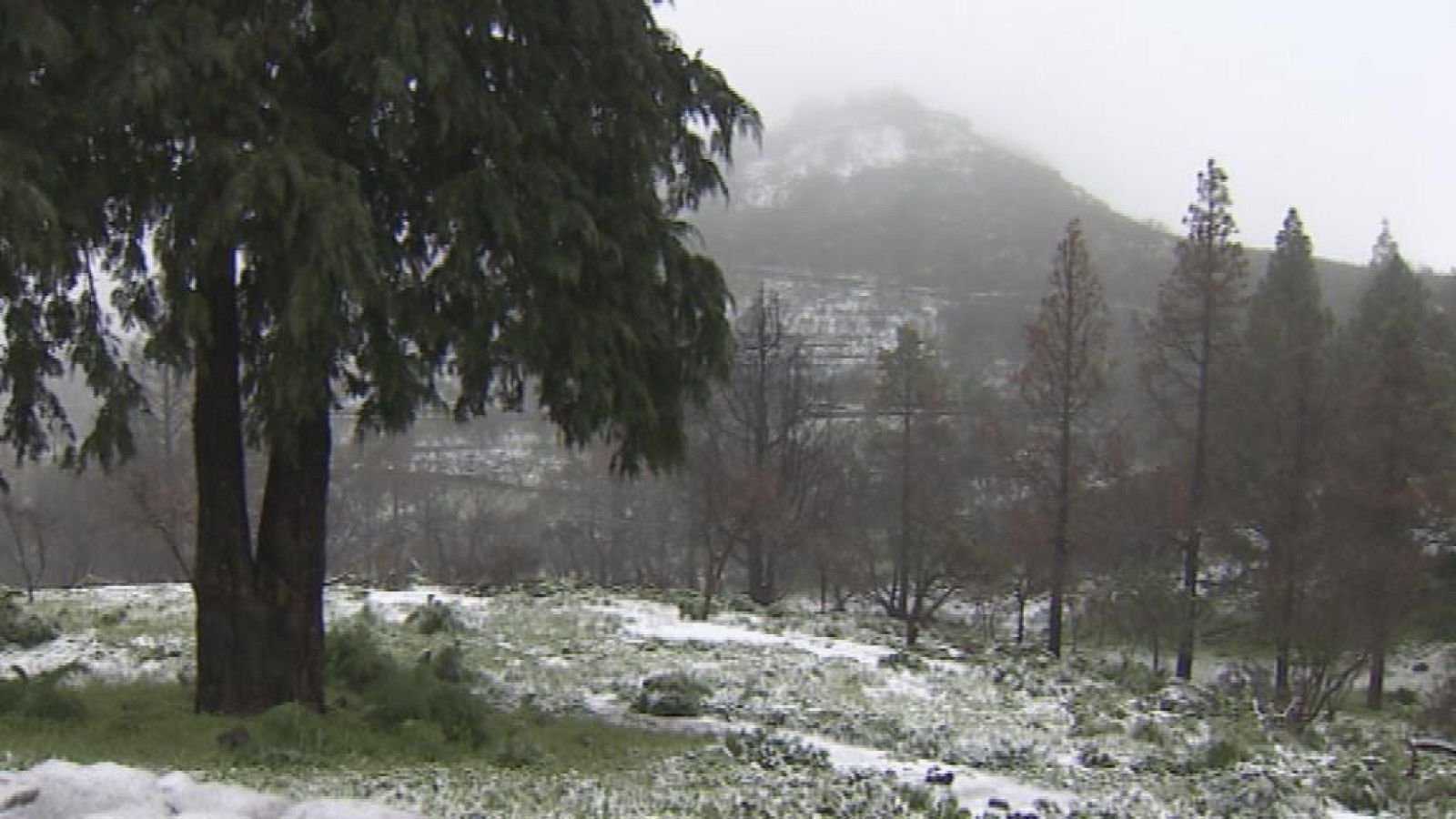 Cerca de ti - 17/02/14 - Cerca de ti | Ver