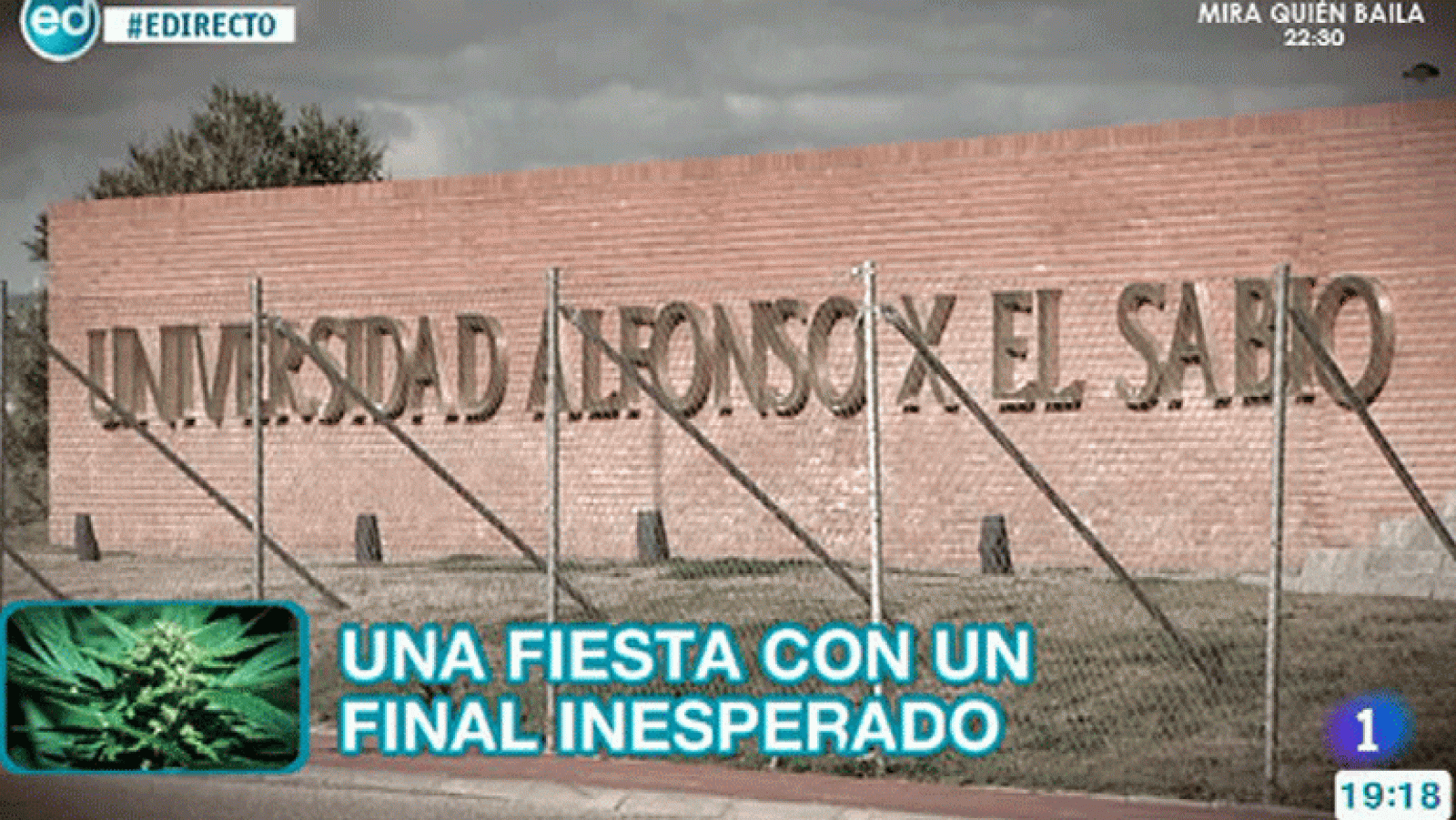 España Directo- Diez intoxicados por comer un pastel de marihuana