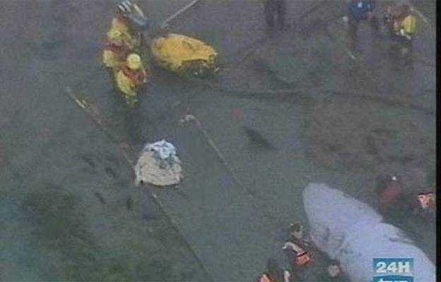  - Ballena varada en el Reino Unido