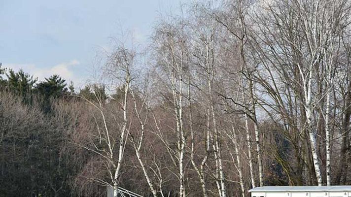 Informativo de Madrid - El tiempo en la Comunidad de Madrid - 19/02/14