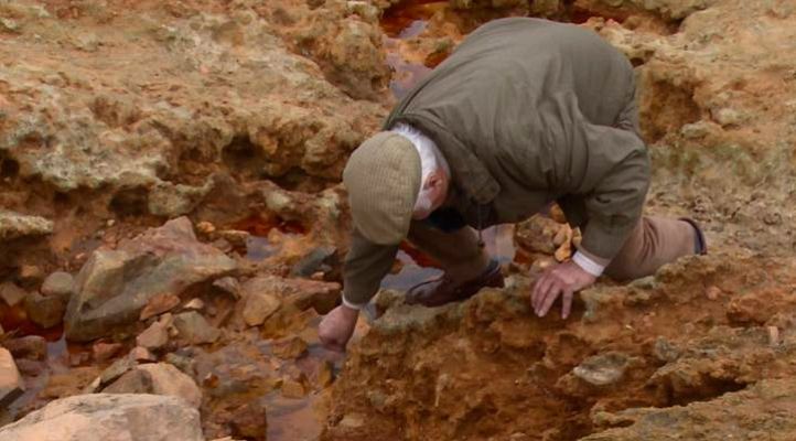 Repor - Se lavan las manos