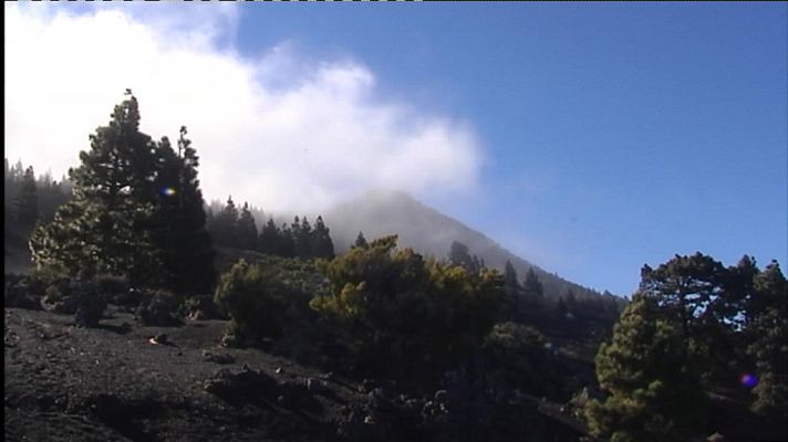Telecanarias - El tiempo en Canarias - 21/02/14