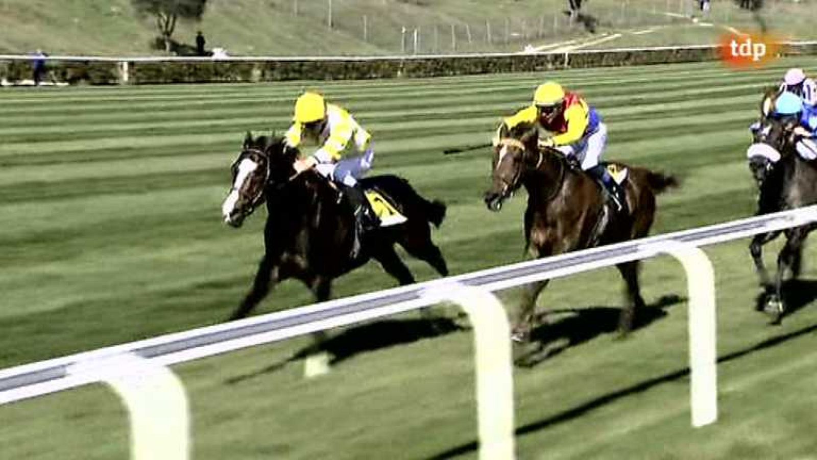 Turf - 23/02/14 - Ver ahora