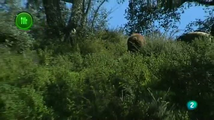 Agrosfera - Manchados de Jabugo