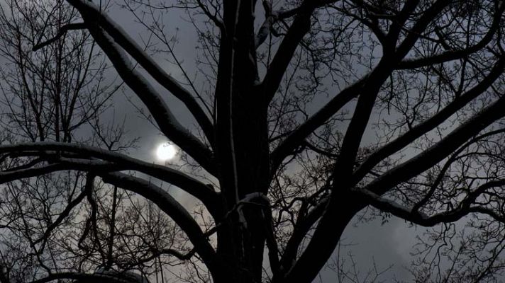 Informativo de Madrid - El tiempo en la Comunidad de Madrid - 24/02/14