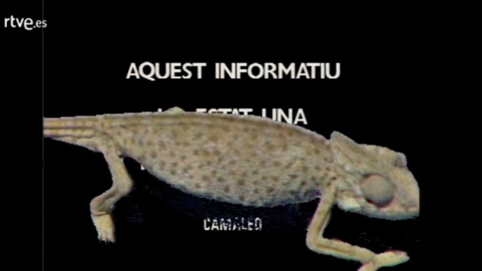 Arxiu TVE Catalunya - Camaleó - La mort