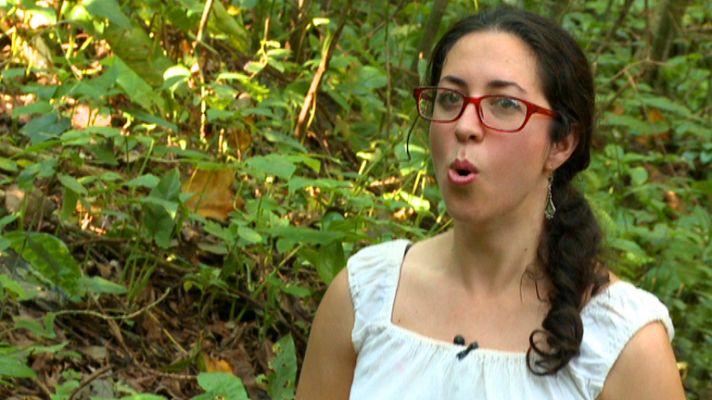 Españoles en el mundo - ¿Cómo se llama a un mono?