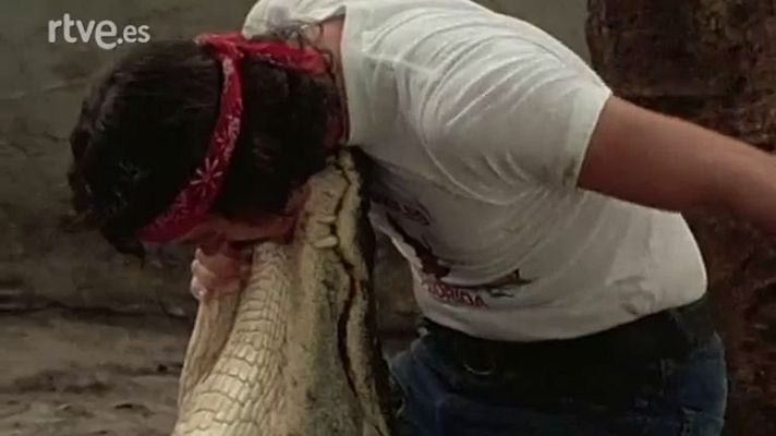 España estuvo allí - Españoles en el Golfo