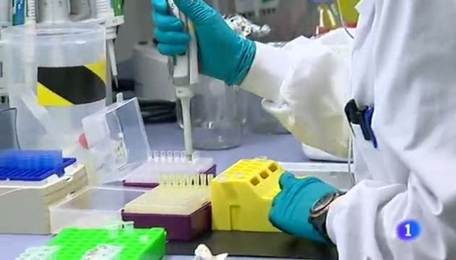 Noticias Aragón 2 - 26/02/14 | Ver