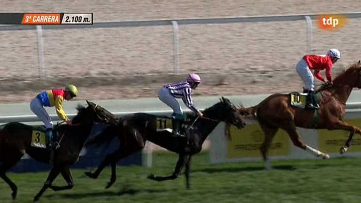 Turf - Turf - 02/03/14