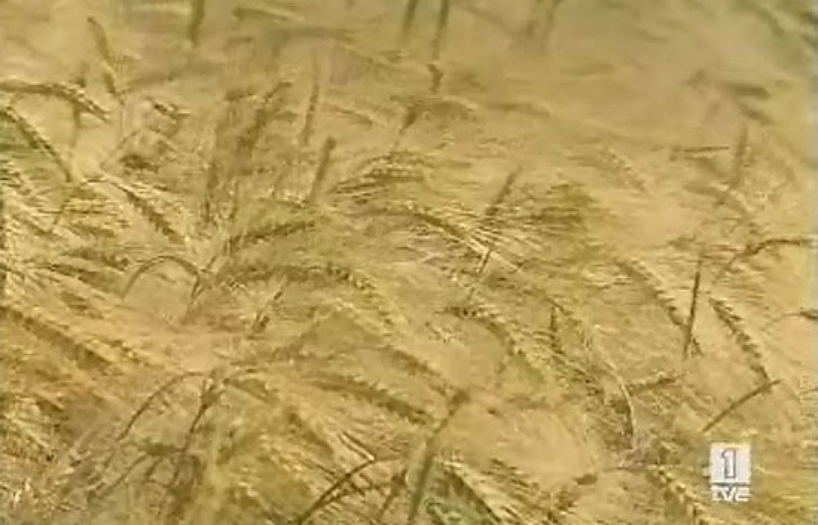 Informe Semanal: "El negocio del hambre"