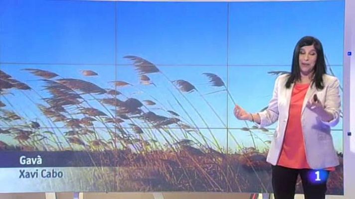 L'Informatiu - El temps - 4/03/2014