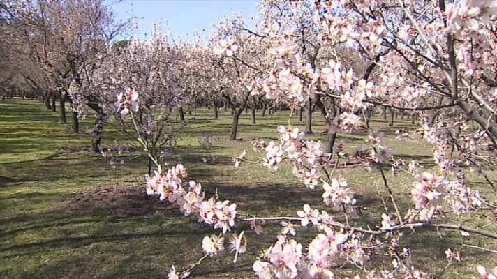 Informativo de Madrid - Informativo de Madrid 2 - 04/03/14