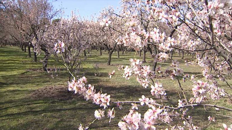 Informativo de Madrid 2 - 04/03/14