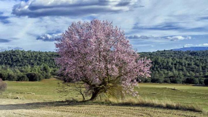 El tiempo - Las temperaturas diurnas en ligero a moderado ascenso