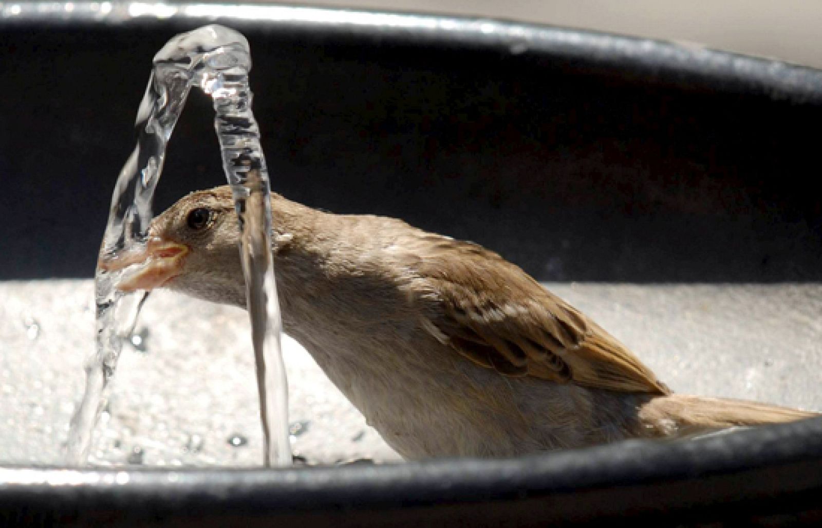Telediario en 4 minutos