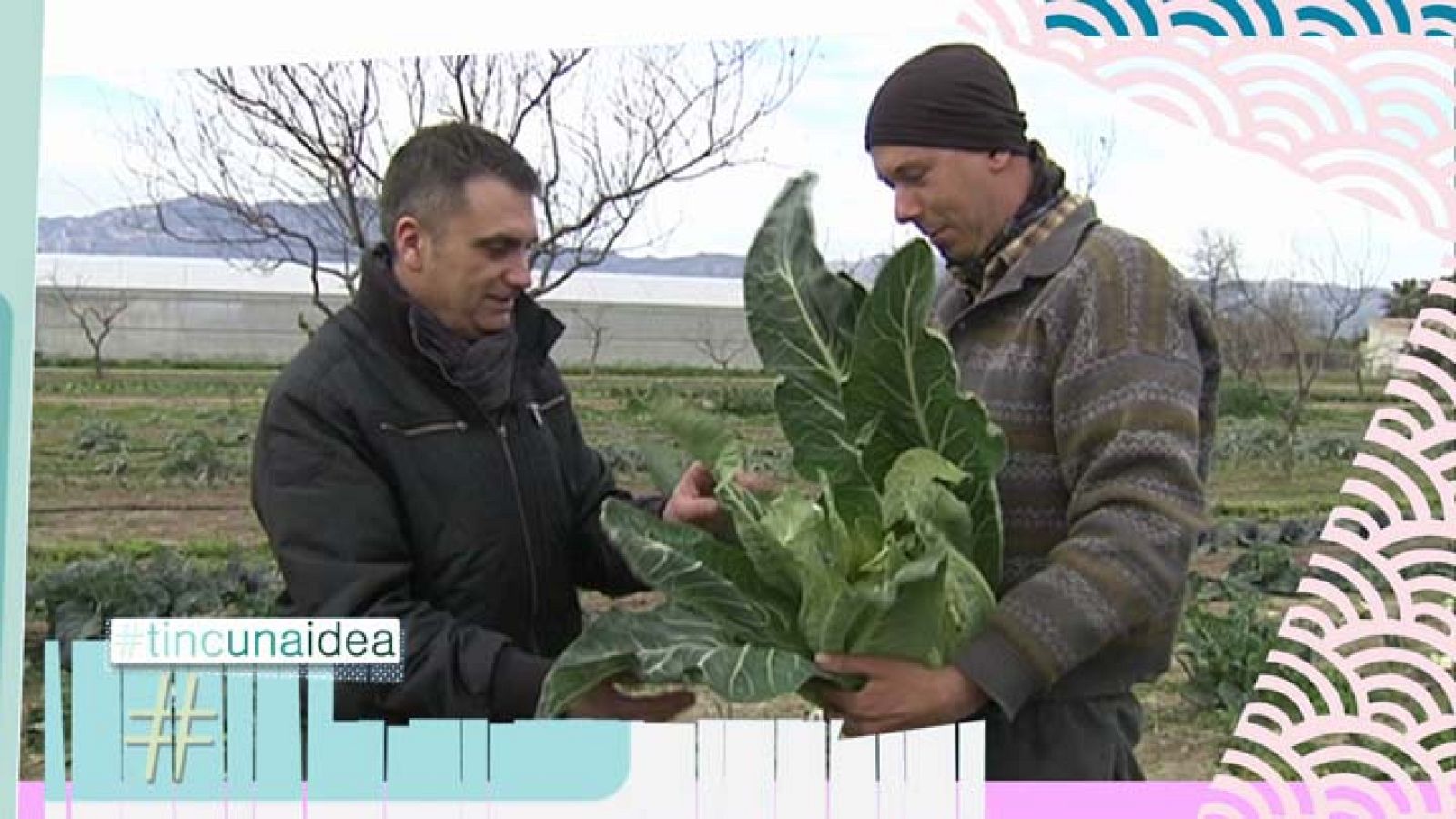 Tinc una idea - 9/03/2014