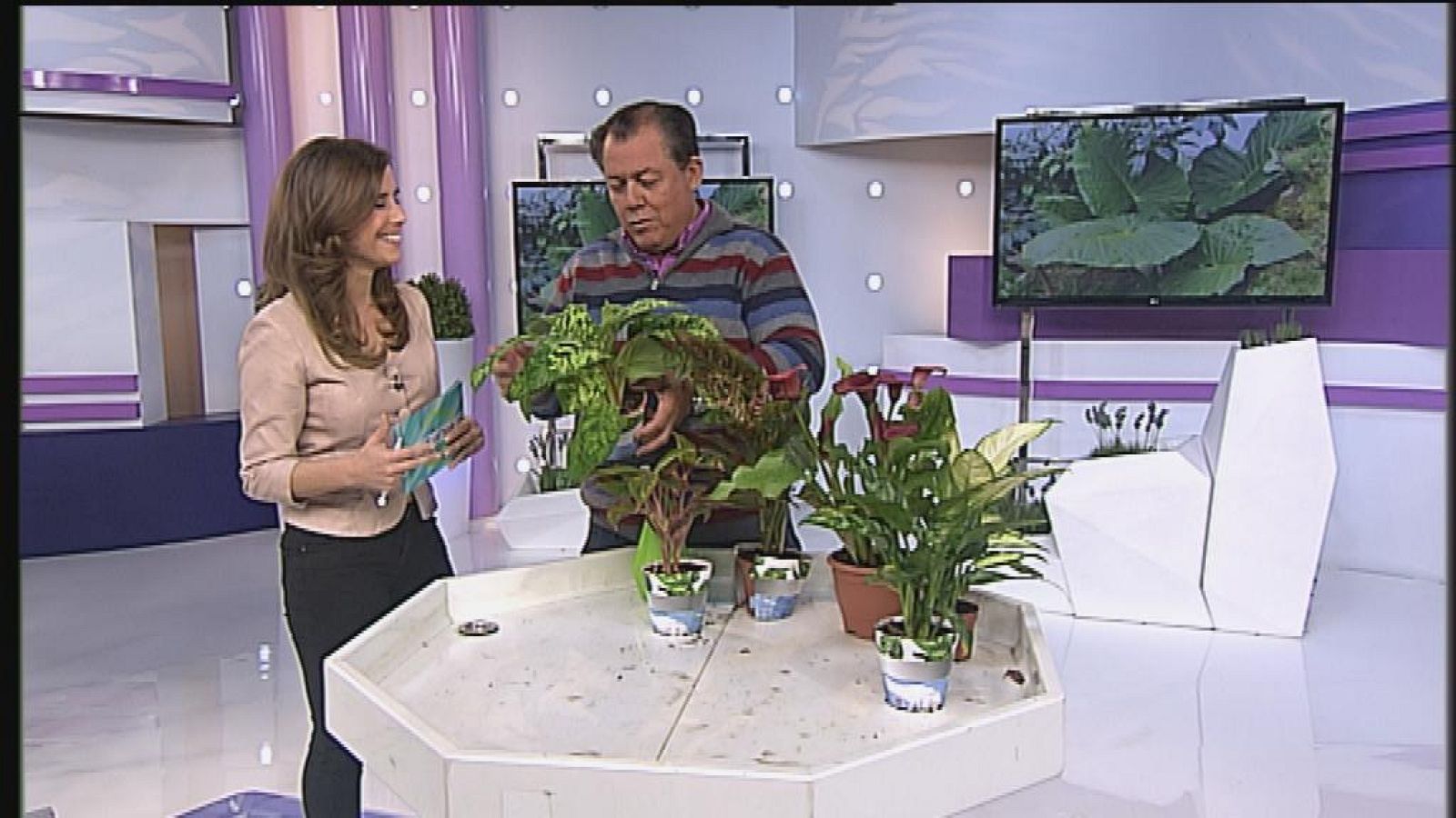 Cerca de ti - 06/03/14 - Cerca de ti | Ver